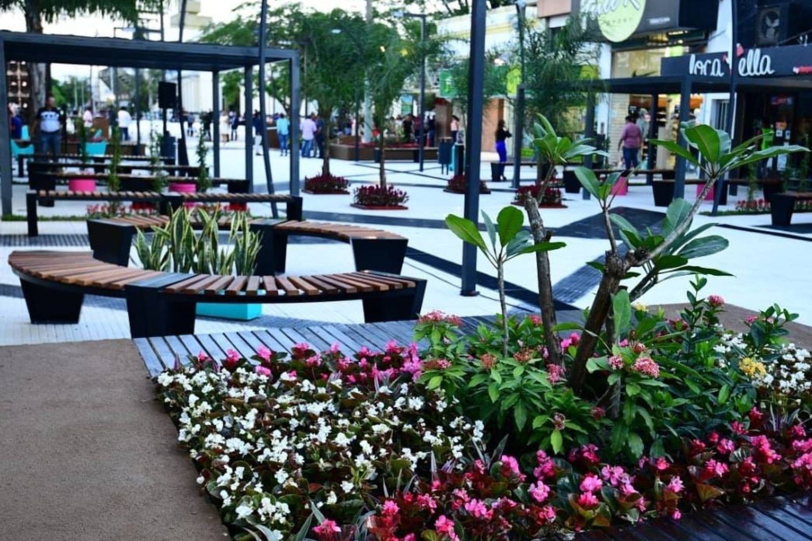 peatonal 2